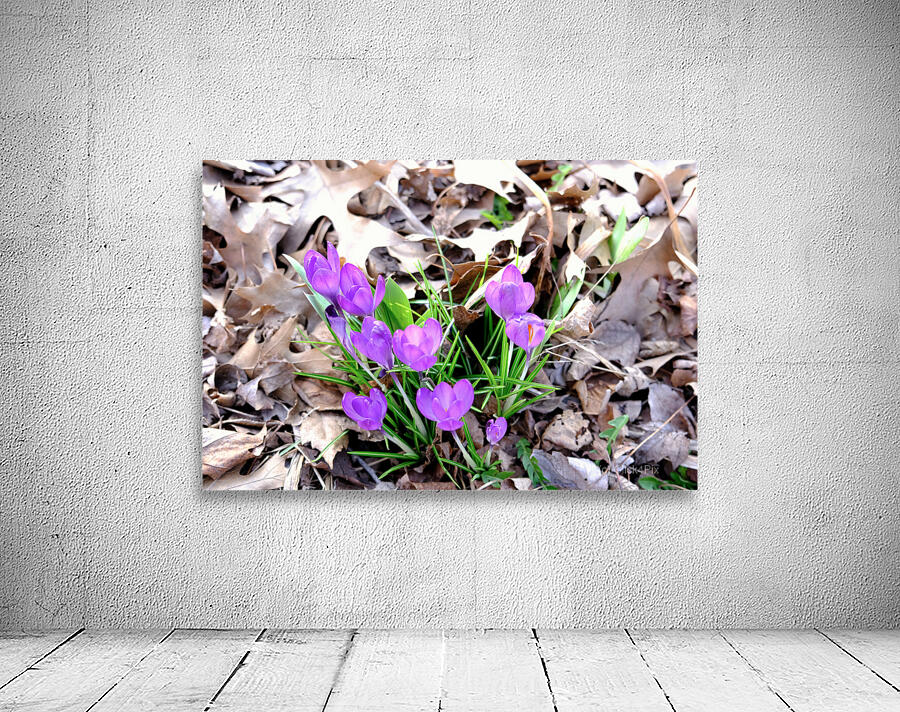 Spring Awakening Wall Preview