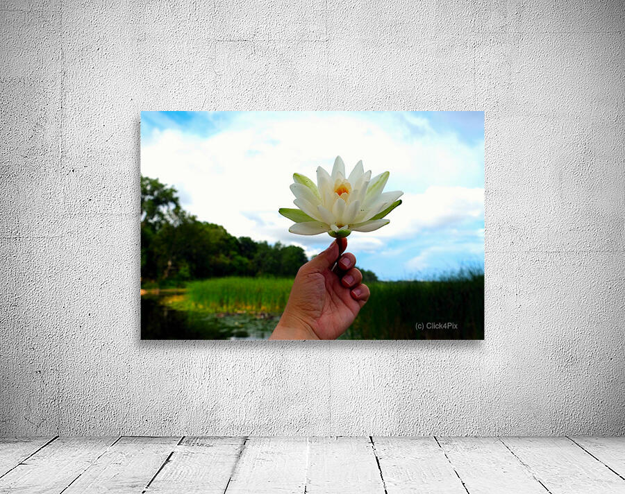  Offering of the Wild Wall Preview