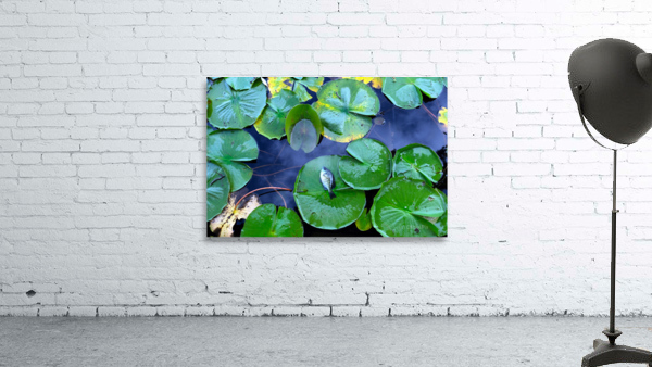 Resting Above the Depths Wall Preview