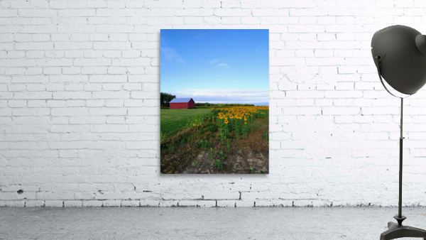 Golden Silence Wall Preview