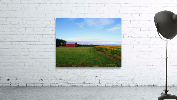 Raising Sunshine Sunflower Farm Wall Preview