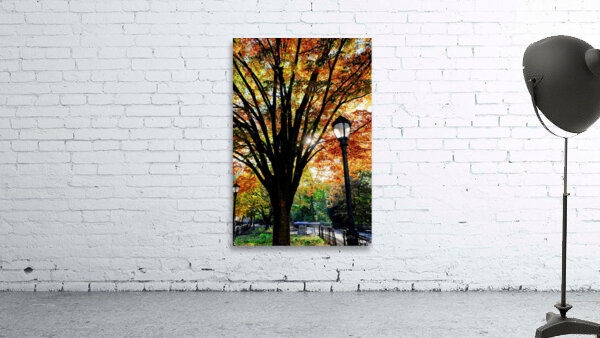 A Stroll in Color Wall Preview