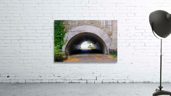 Vaulted Passage Wall Preview