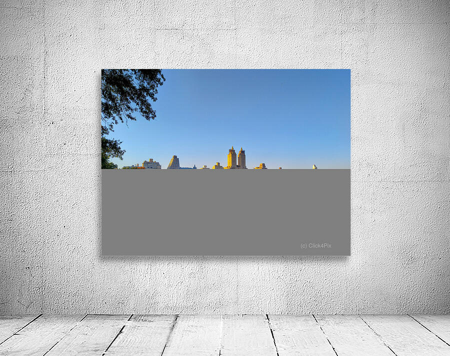 Urban Calm: Central Park View Wall Preview