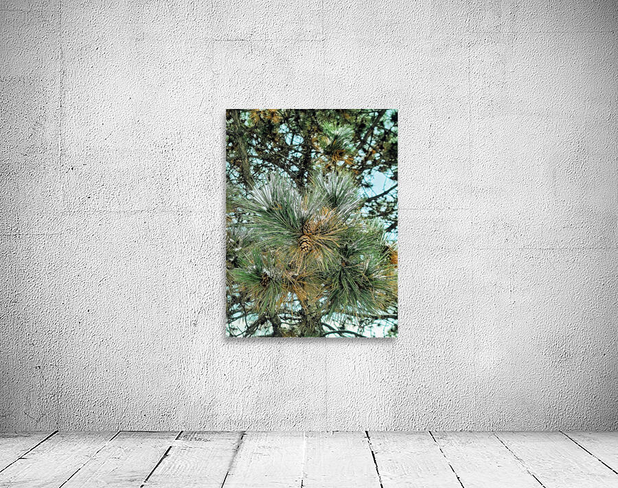  Frosted Pine Cones  Wall Preview