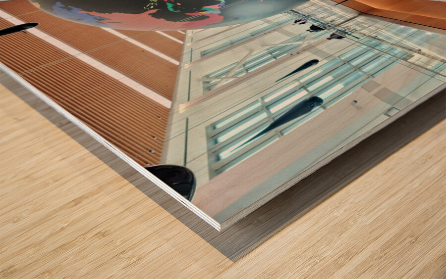 Hemispheres in Flight at  La Guardia Airport Wood print