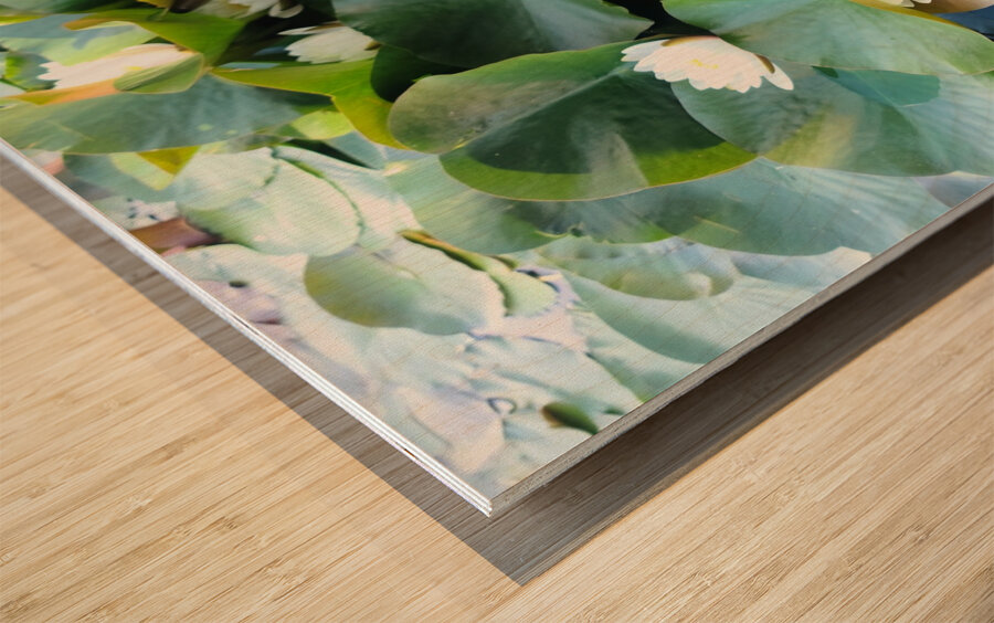 Nature’s Quiet Triumph Wood print