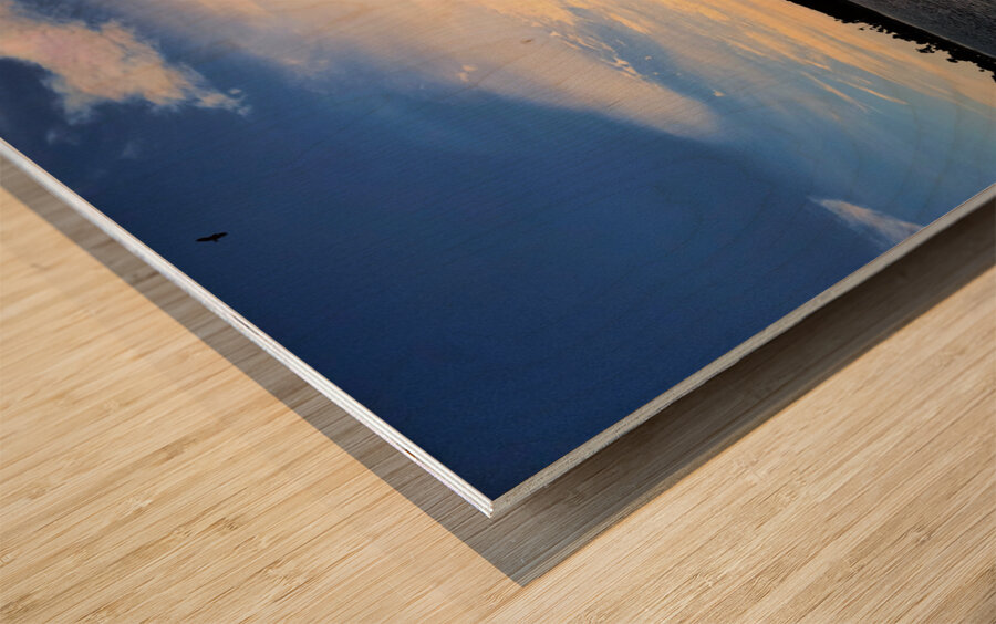 Soft Waves Carry the Day’s Goodbye Wood print