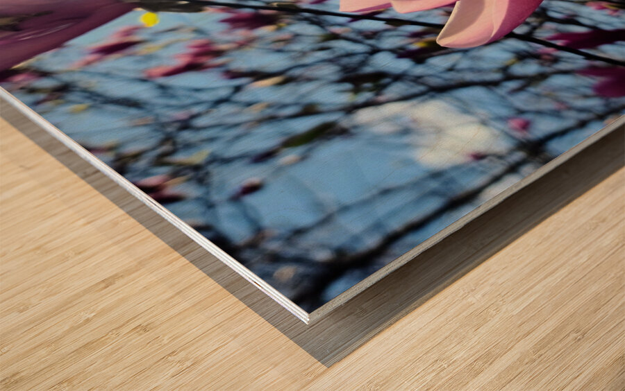 A Magnolia Moment in the Middle of Everything Wood print