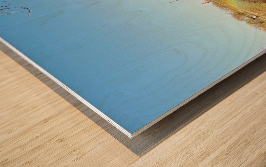 Rainbow Resilience at Paterson’s Edge Wood print