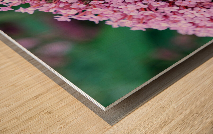 Sustaining Grace:  The Bee and the Butterfly Bush Wood print