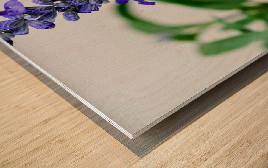 Just A Blue Salvia Buzzing Bee Wood print