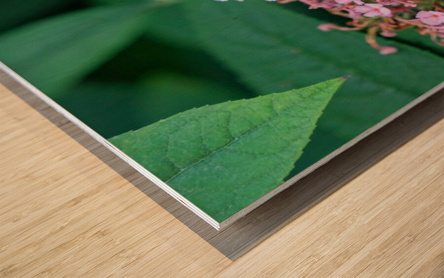 Just Bee Still In Fields of Pink Wood print