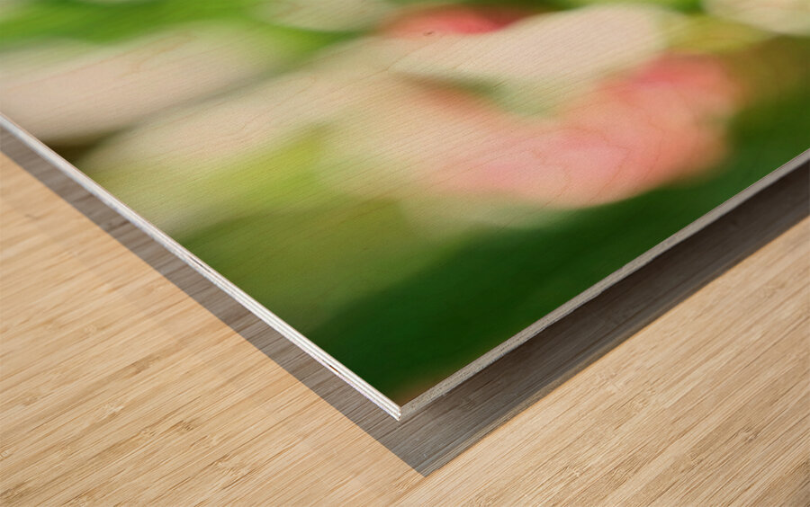 Petals and Purpose: An Ode to Quiet Industry Wood print