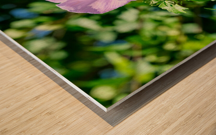 A Hibiscus Glimpse into Nature’s Heartbeat Wood print