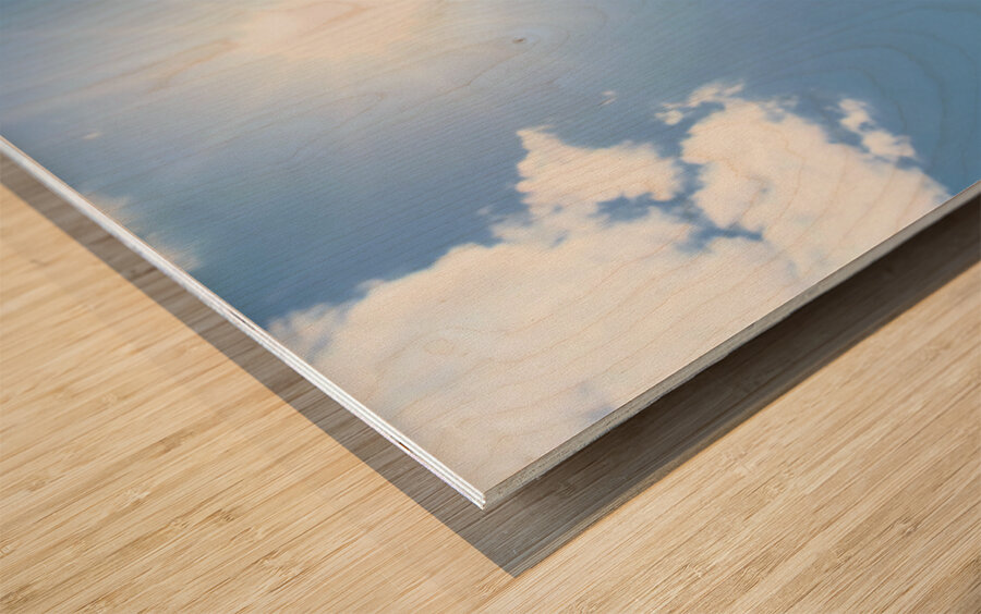 Skyward Confession: A Sunflower’s Secret Wood print