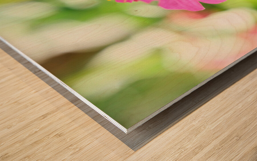 Tiny Architect of the Bloomworld Wood print