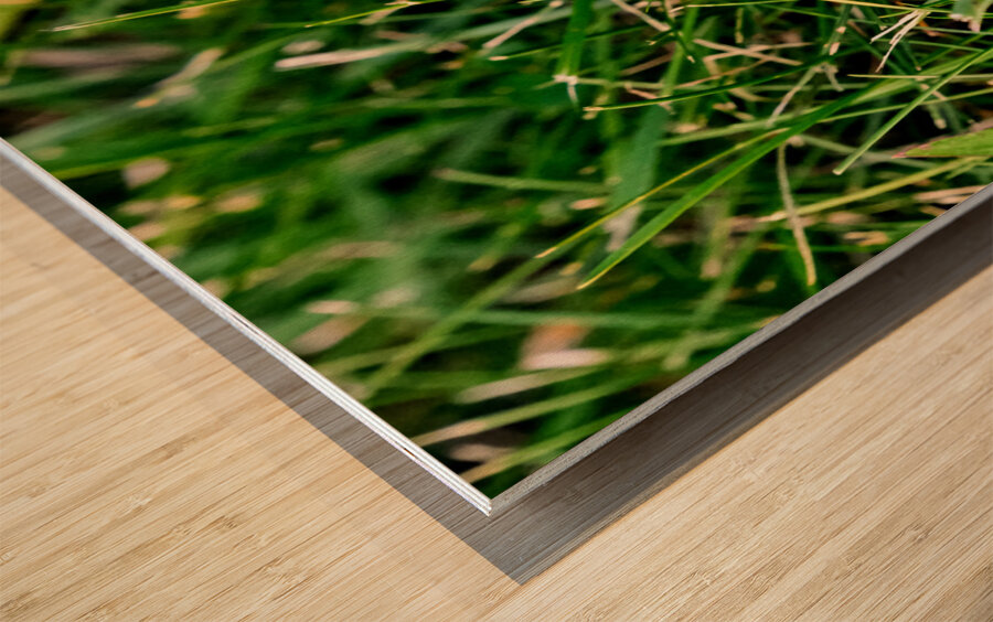 The Littlest Umbrella Wood print