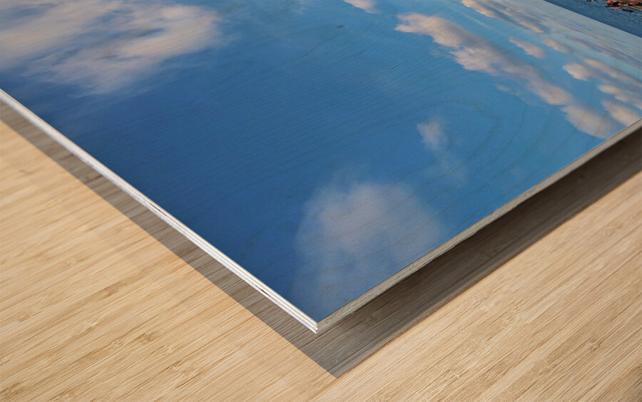 The Soft Chaos of Summer Wood print