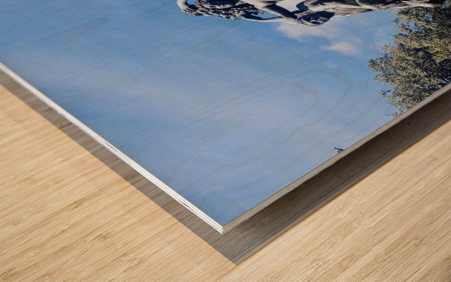 Sculpted Myth Sunlit Truth Wood print