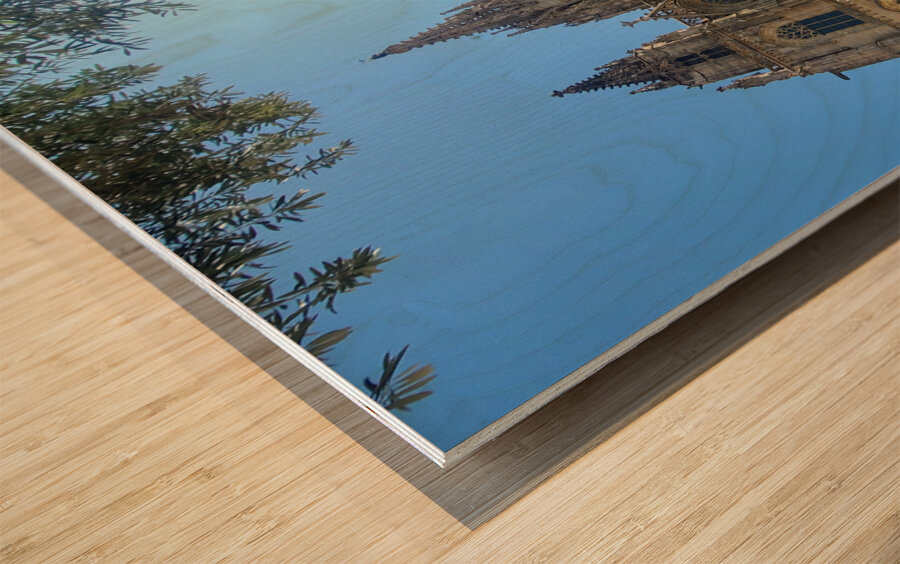 Barcelona Cathedral: Where Stone Remembers the Sky Wood print