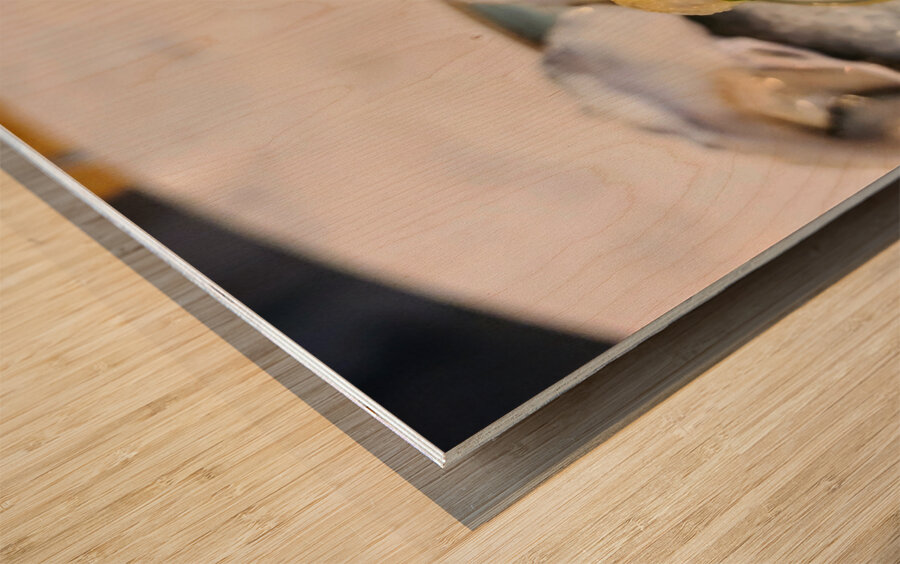 Shellshed Ritual Wood print