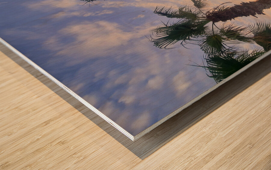 Tropic Stillness Above the Noise Wood print