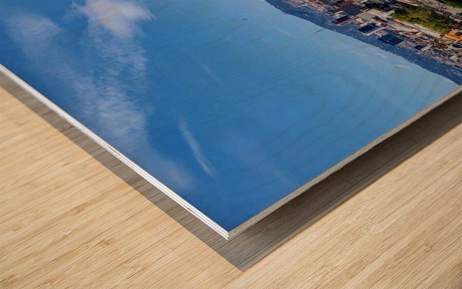 The Pulse of Catalunya: Barcelona View from Museum of Catalan Visual Arts Wood print