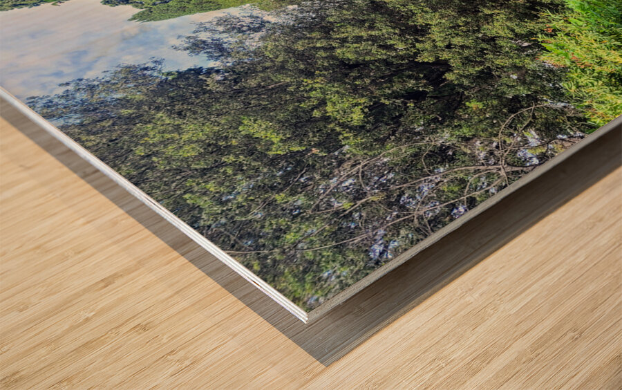 The Pause in the Path Wood print