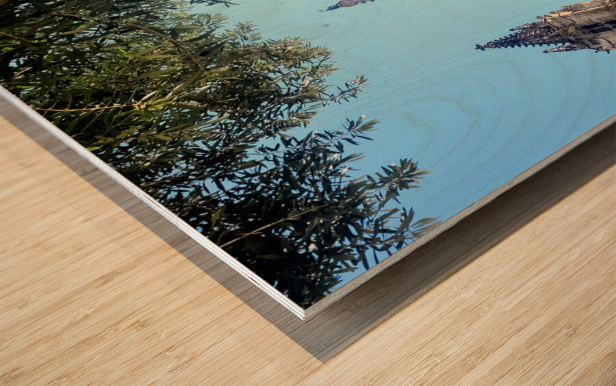 Gothic Roots Olive Crowns: The Cathedral at an Angle of Awe Impression sur bois