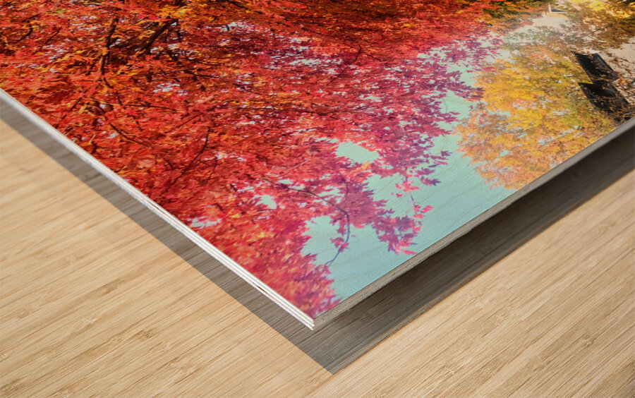 Fall Over the Fence  Wood print