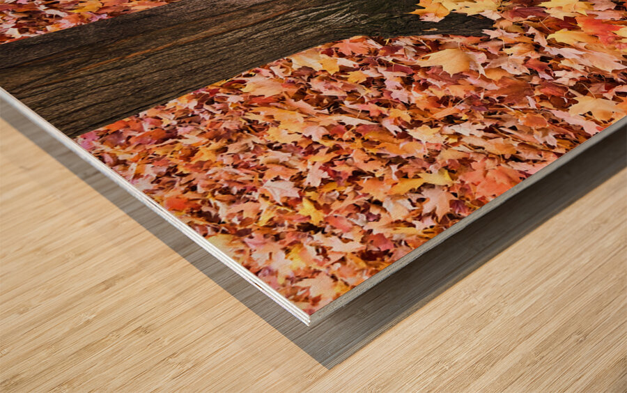 Leaves Me Stumped 1A Wood print