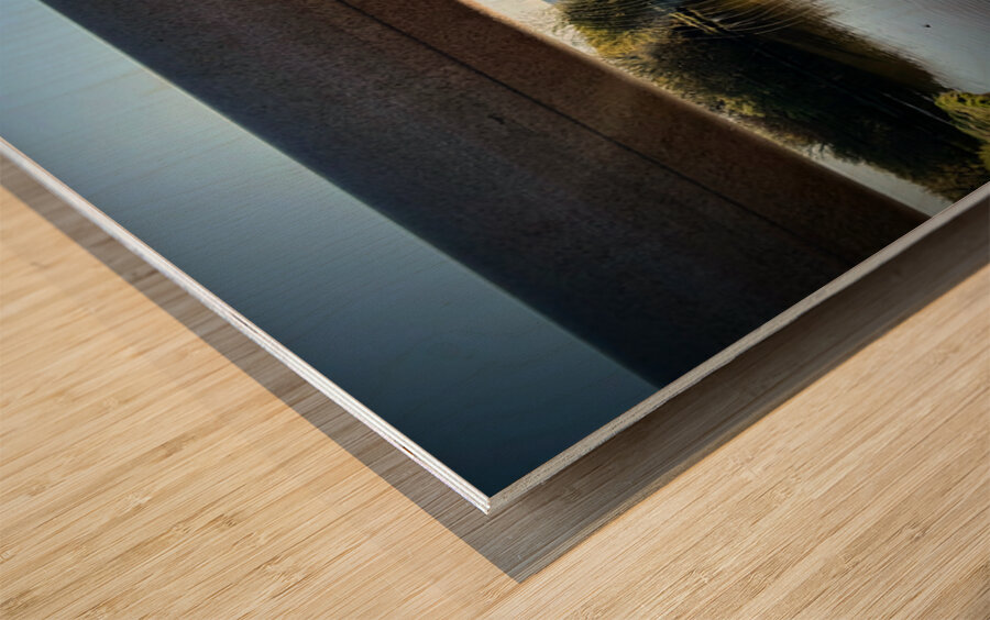 Spider Web on Bridge at Sunrise – Nature Framed in Stillness 2 Wood print