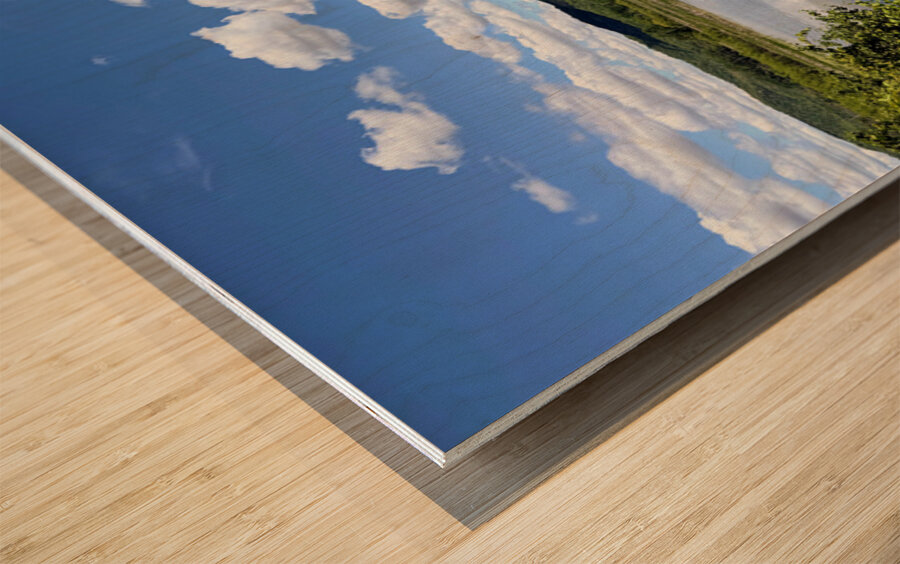 Serenity on the Surface Wood print