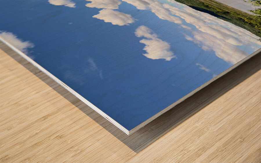 Into the Wild Blue Wood print