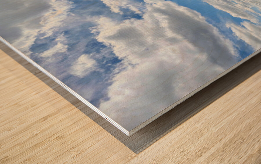 Sunlit Hometown Wood print