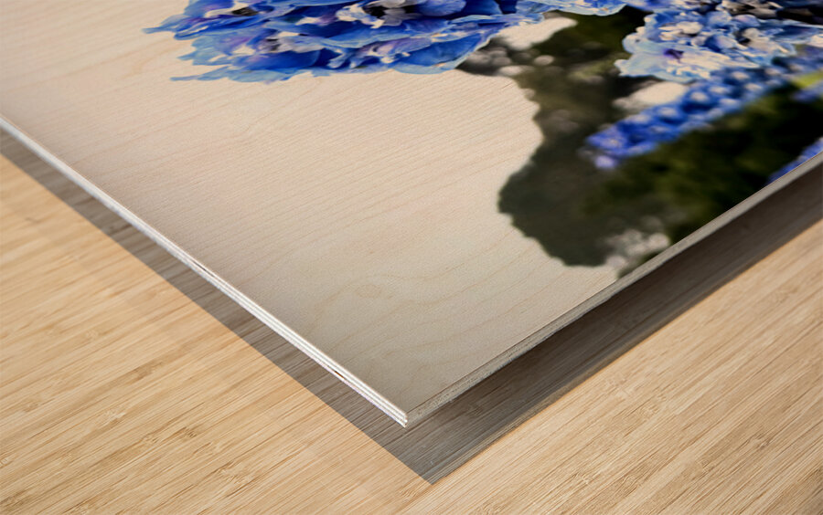 Blue Spire in Bloomstorm: Larkspur Wood print