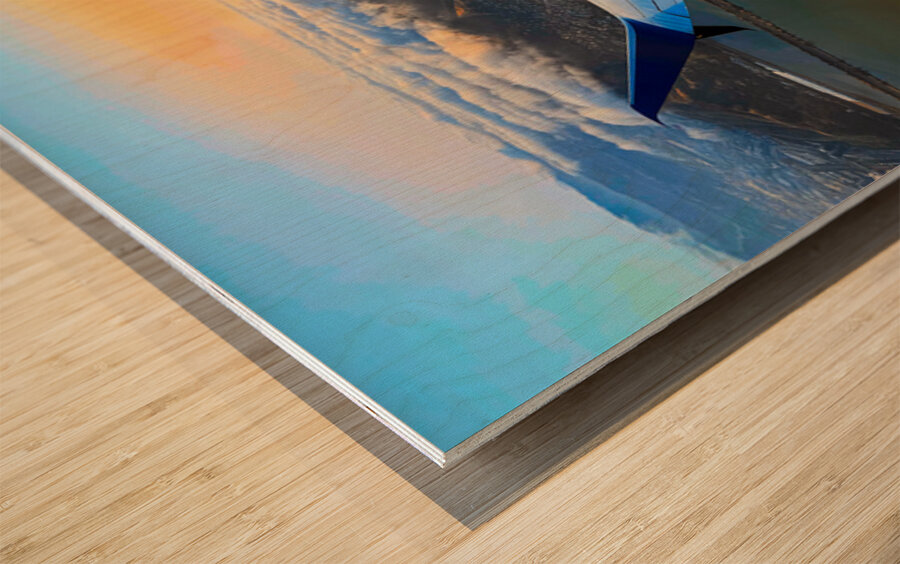 Wings over SF: Golden Fog Unveiled Wood print