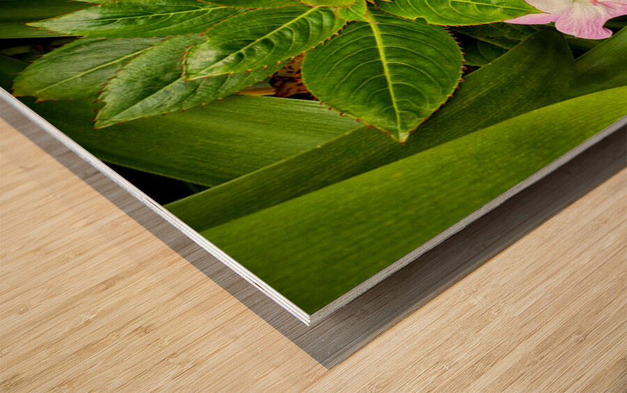 Twin Beauty & Symmetry Impression sur bois