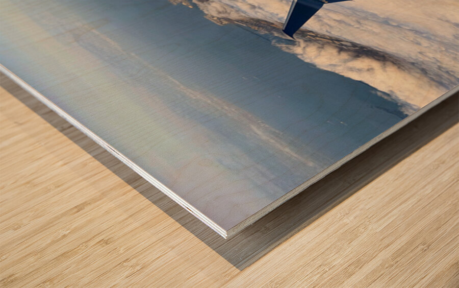 Above the Fog Line: San Francisco in Glide Wood print