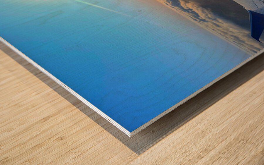 Wings over SF: Above the Quiet Kingdom Wood print