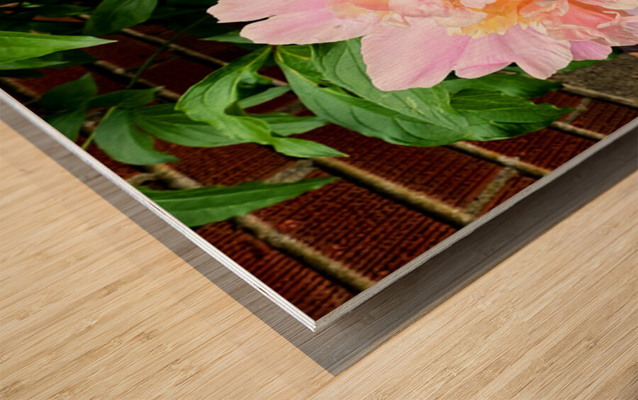 Raspberry Sundae: The Painter’s Peony Wood print