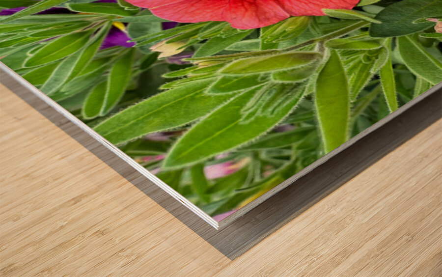 Duet in Full Color Wood print