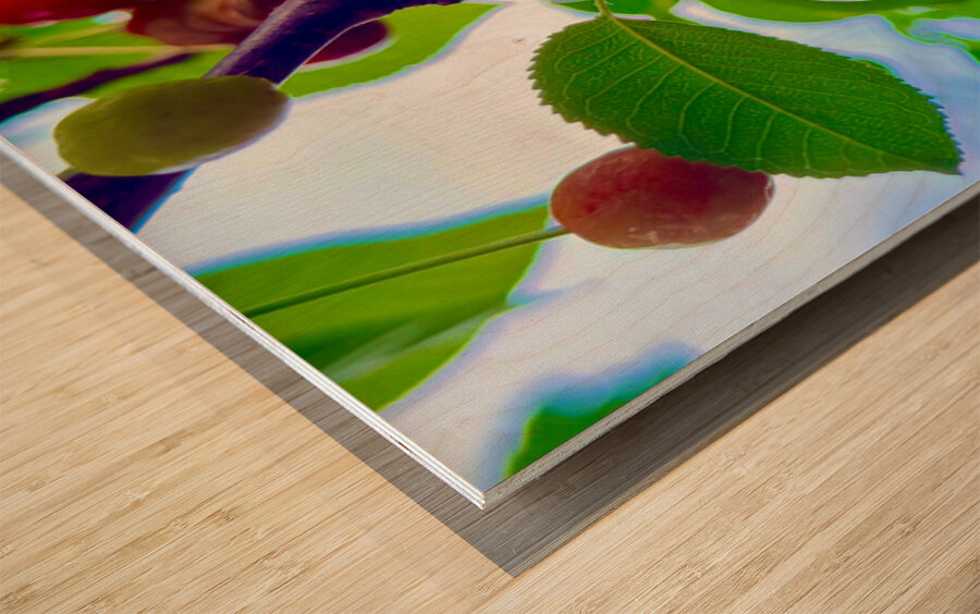 Ripening Moments Under Summer’s Veil Wood print