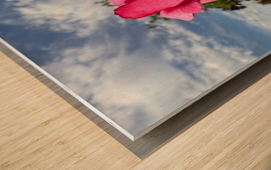 Unspoken Flame of the Garden’s Soul Wood print