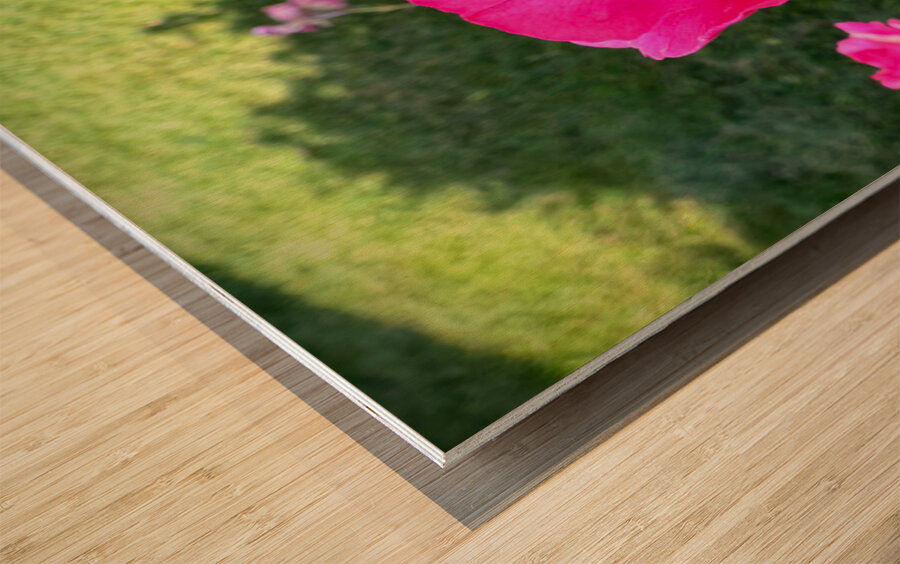 Velvet Guard of the Gardens Heart Wood print