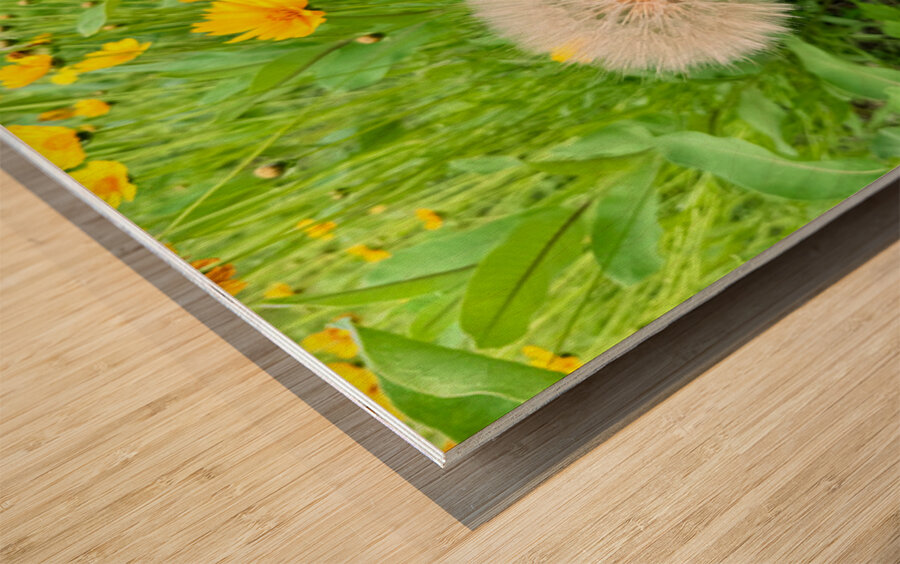 Cartography of a Wish Wood print