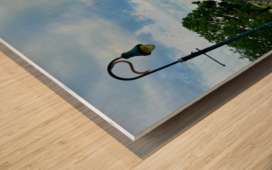 Where the Silence Walks With You Wood print