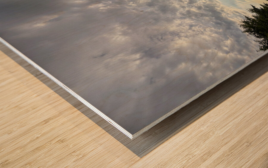 Twilight’s Breath Along the Waterfront Path Impression sur bois