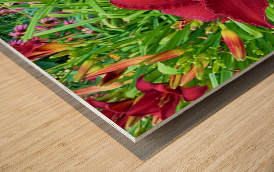 Garden Spotlight Wood print